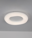 Потолочная led люстра 45см 48W с пультом и приложением (97-MX6008 (450)) 97-MX6008 фото 1